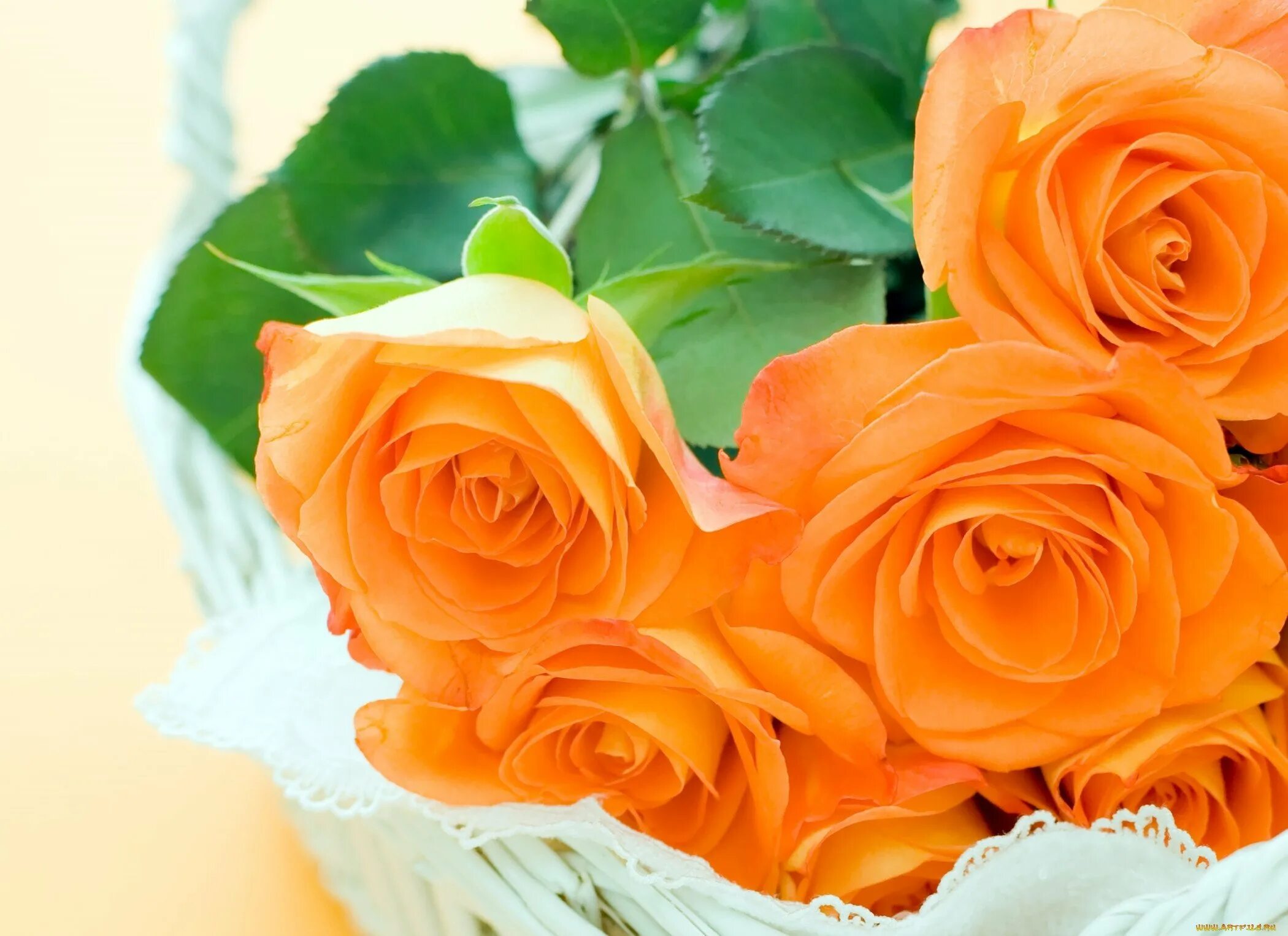 Оранжевые розы к чему. Оранжевые розы. Красивые оранжевые розы. Желто оранжевые розы. Красивый букет оранжевых роз.