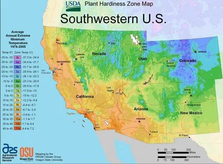 Plants map