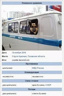Автобус струги псков завтра