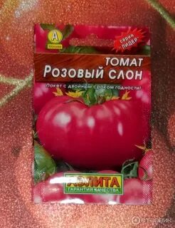 Сорт розовый слон
