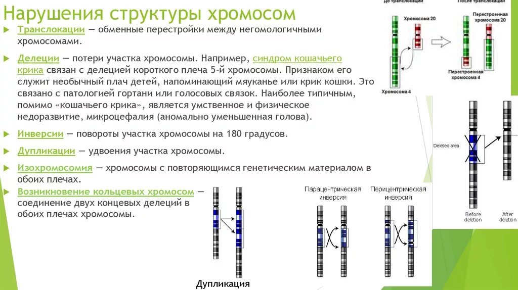 2 хромосома нарушения. Нарушение структуры хромосом болезни. Болезни связанные с изменением структуры хромосом. Нарушения структуры хромосом таблица. Структурные хромосомные нарушения пример.