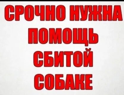 Сейчас помогу вам