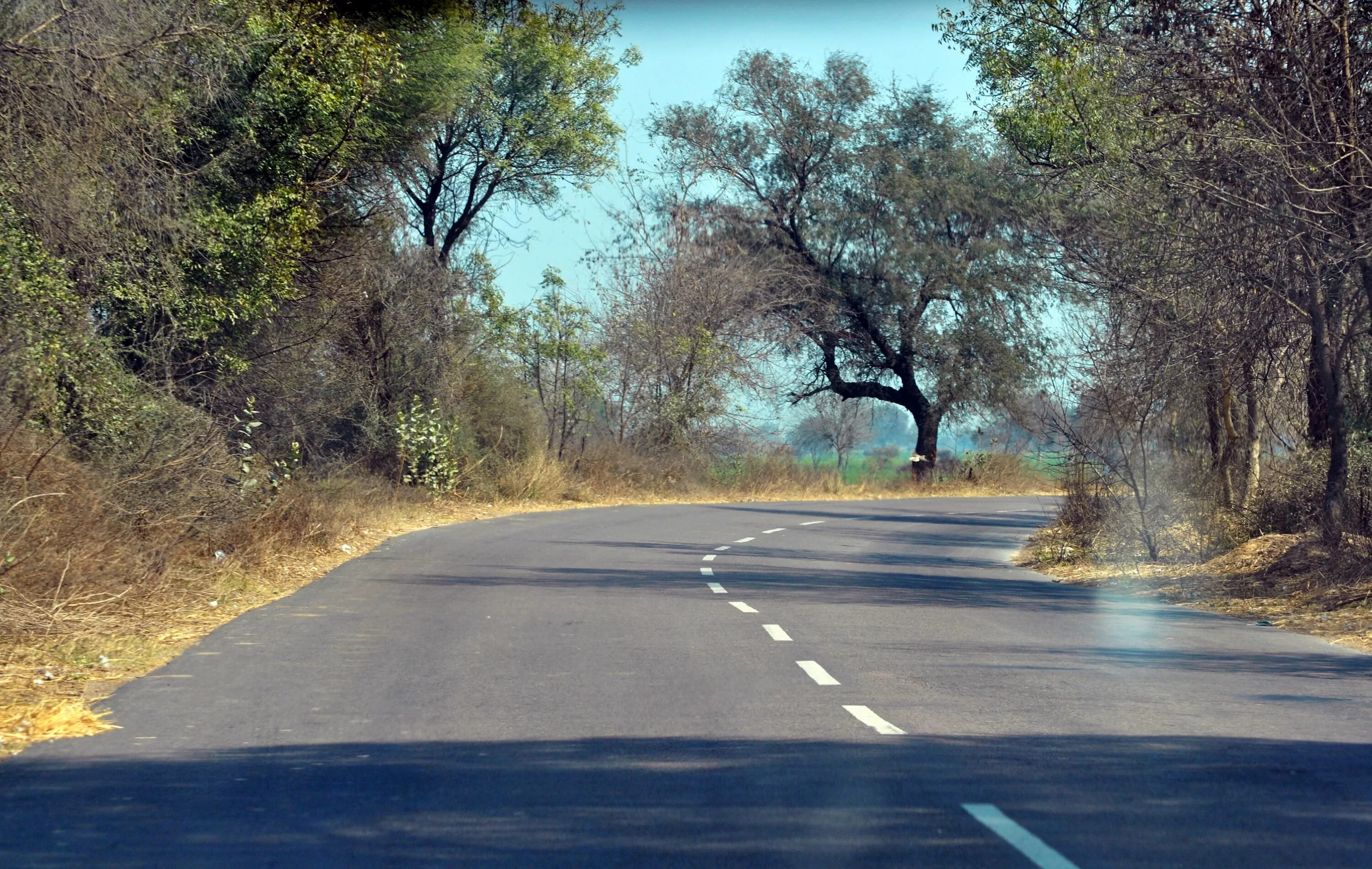 Lane road. Дорога поворот. Дорога сбоку. Поворот дороги. Фон дорога.