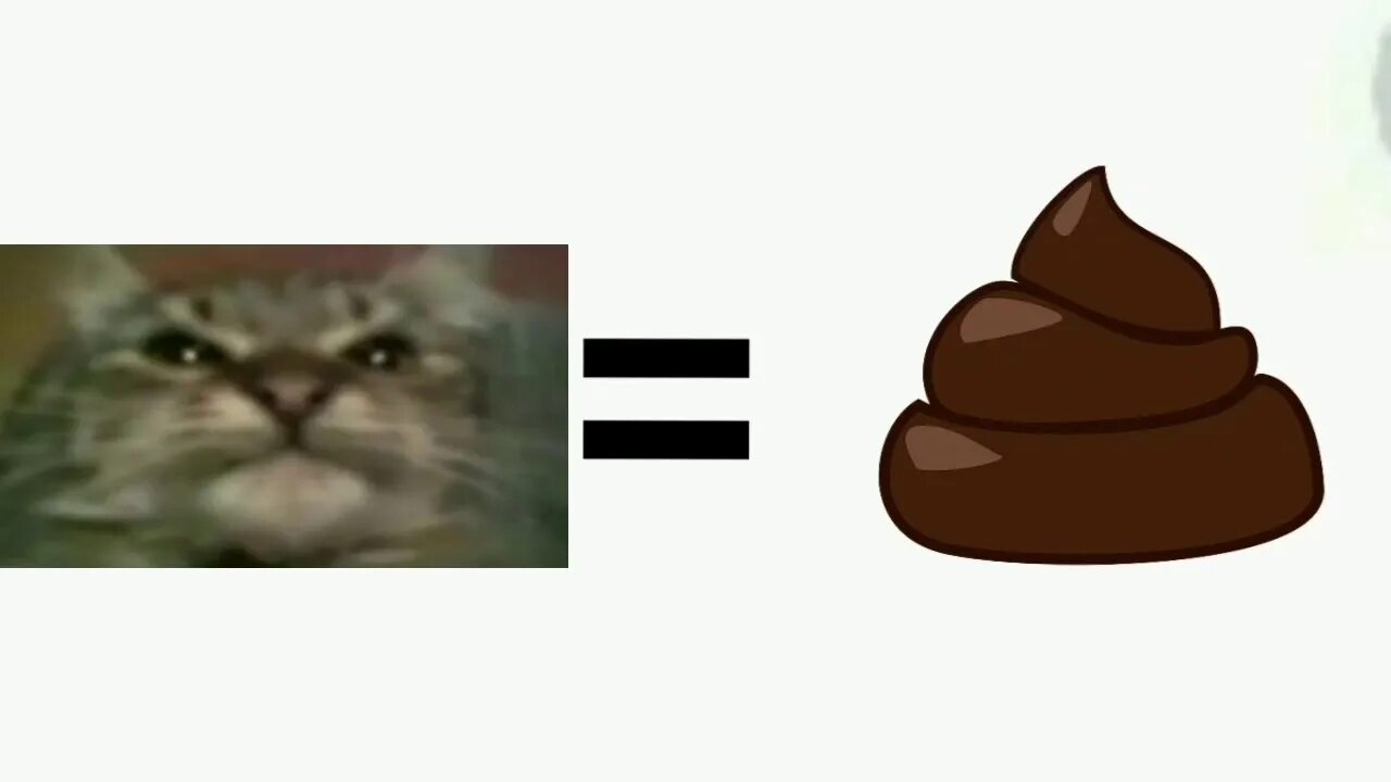 Кот ест какашки. Мем кошачьи какашки. кит кот мем.
