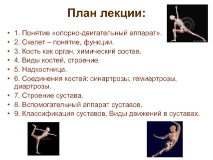 Опорная лекция