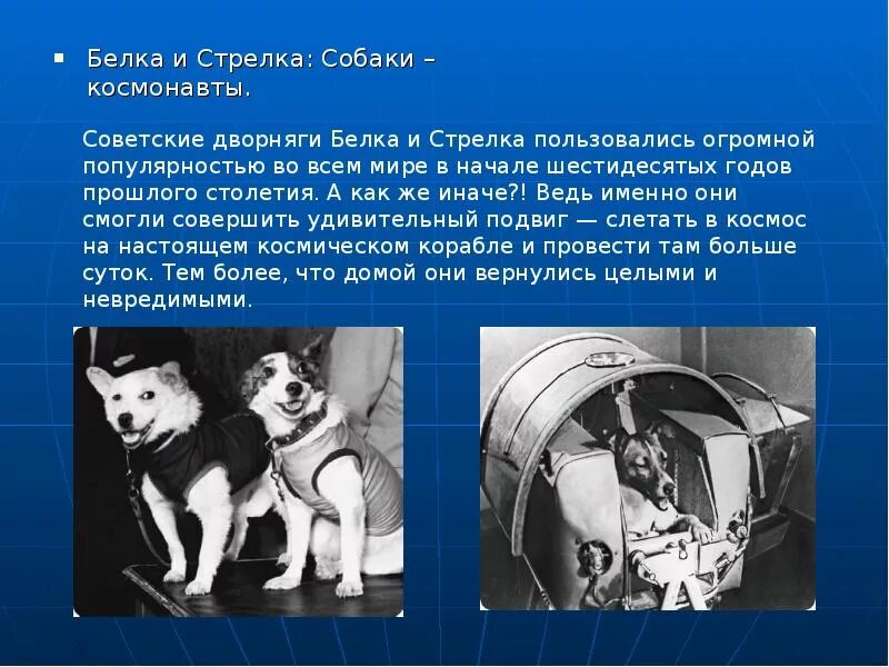 Клички собак полетевших в космос. Герои космоса собаки белка и стрелка. Первые космонавты в космосе белка и стрелка. Белка и стрелка биография первые собаки в космосе.