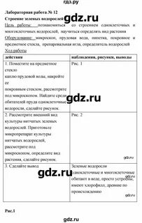Биология лабораторная работа 2 6 класс ответы