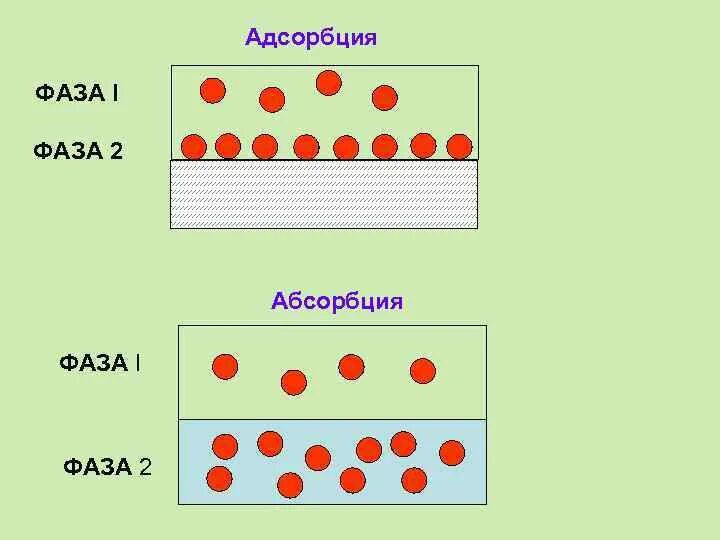 Адсорбция и абсорбция. Адсорбция и абсорбция схема. Фазы адсорбции. Адсорбция схема процесса. 4 адсорбция