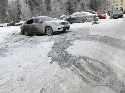 Морозы последствия
