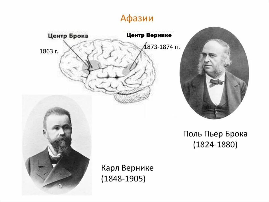 Поль Брока 1824-1880. Поль Пьер Брока. Брока и Вернике ученые. Поль брока