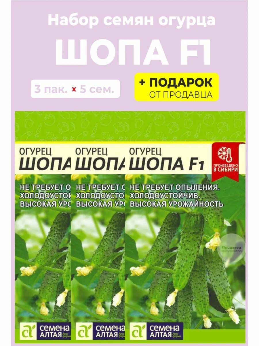 Алт/ 5 шт. Алт/ 5 шт. Огурец шопа отзывы фото. Огурец шопа семена алтая. Фото.