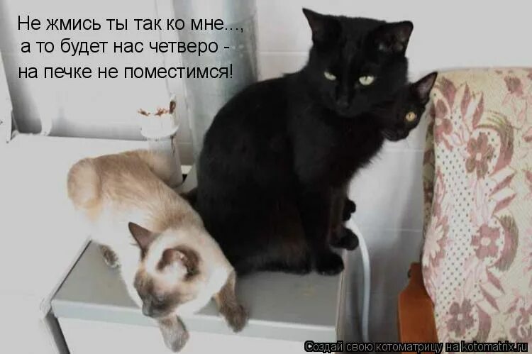 Не видишь вылитый я. Прикольные демотиваторы с надписями. Не видишь вылитый я. Картинка давай не жмись. Мемы 2022.