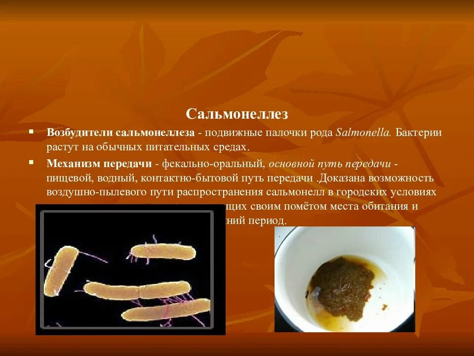 Сальмонеллез возбудитель. Изменяется вкус при сальмонеллезе