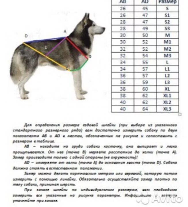 Как узнать год собаки. Обхват шеи у щенка немецкой овчарки в 5 месяцев. Размер шлейки для собак таблица размеров хаски. Ширина ошейника для немецкой овчарки. Ездовая шлейка для немецкой овчарки.