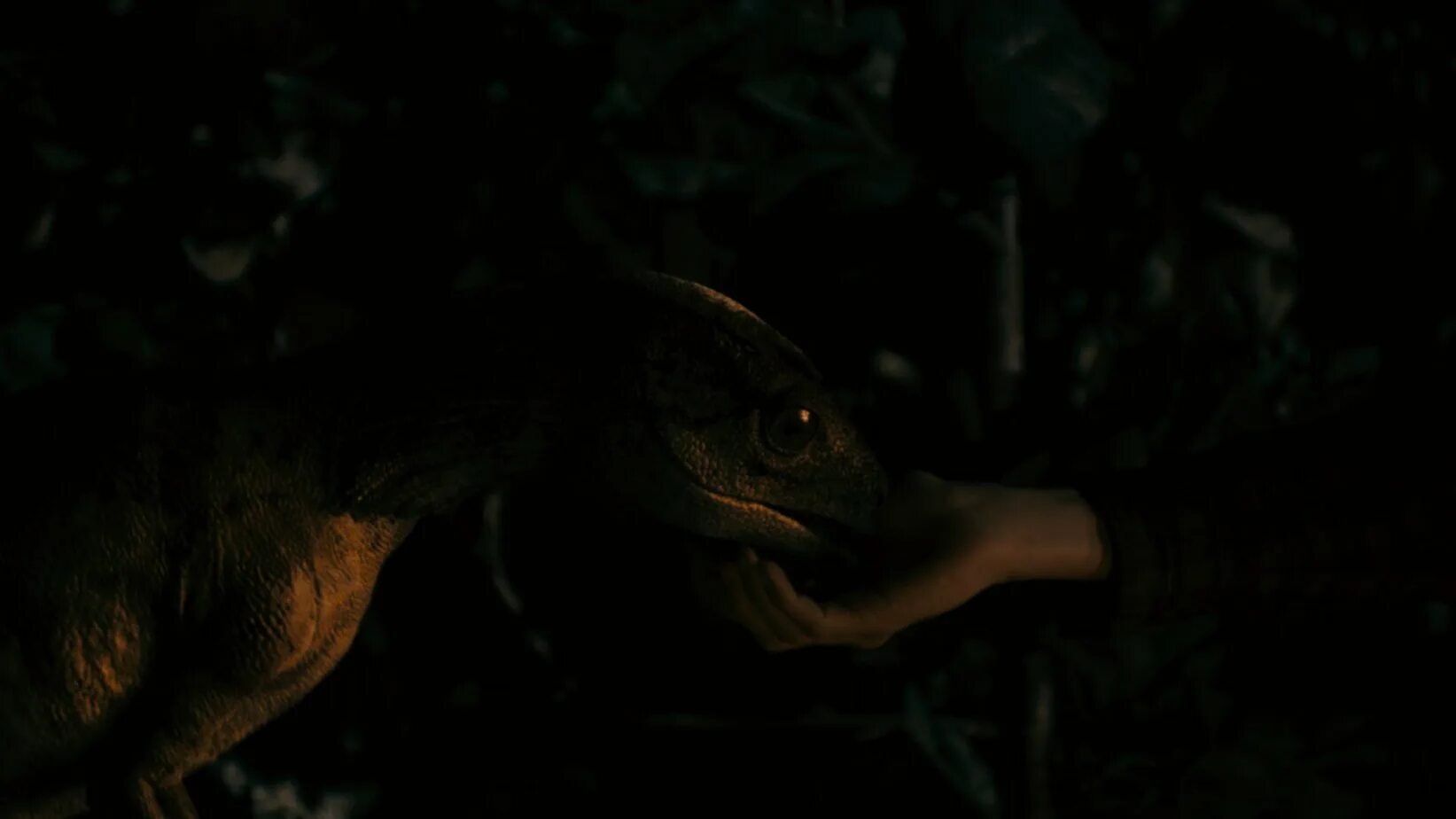 Проект динозавр в хорошем качестве New dinosaur species discovered in Chile смотреть видео онлайн от "RT" в хорош