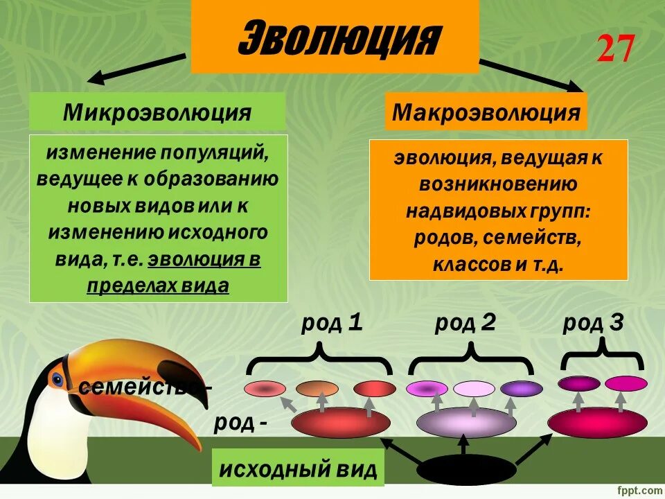 Микроэволюция приводит к образованию новых. Микроэволюция и макроэволюция. макроэволюция это в биологии. микроэволюция и микроэволюция. понятие о микроэволюции.