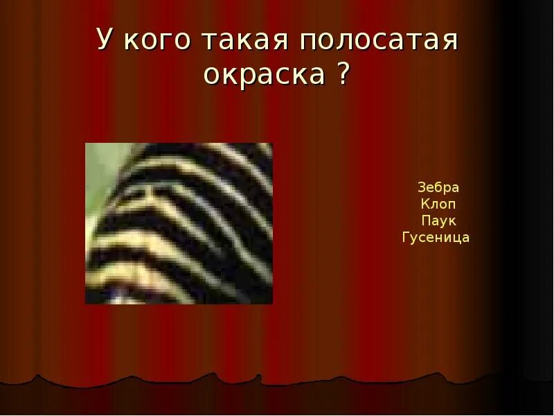 Полосатый мир. Полосатый мир