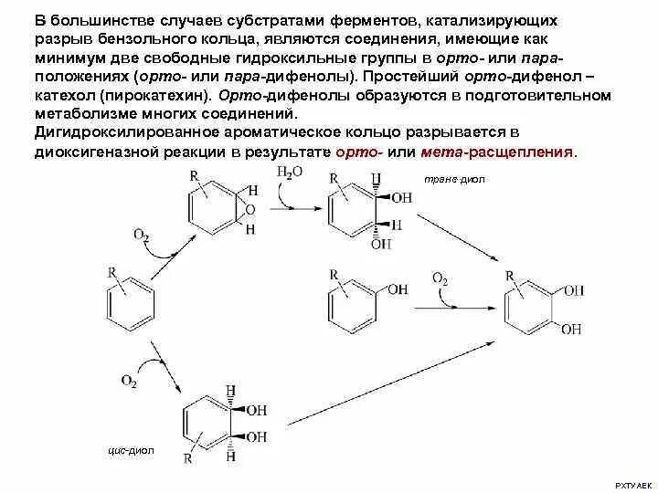 Гидроксильная группа в бензольном кольце. Разрыв ароматических циклов катализирует фермент. Разрыв бензольного кольца. Окисление с разрывом бензольного кольца. Разрыв бензольного кольца реакция.