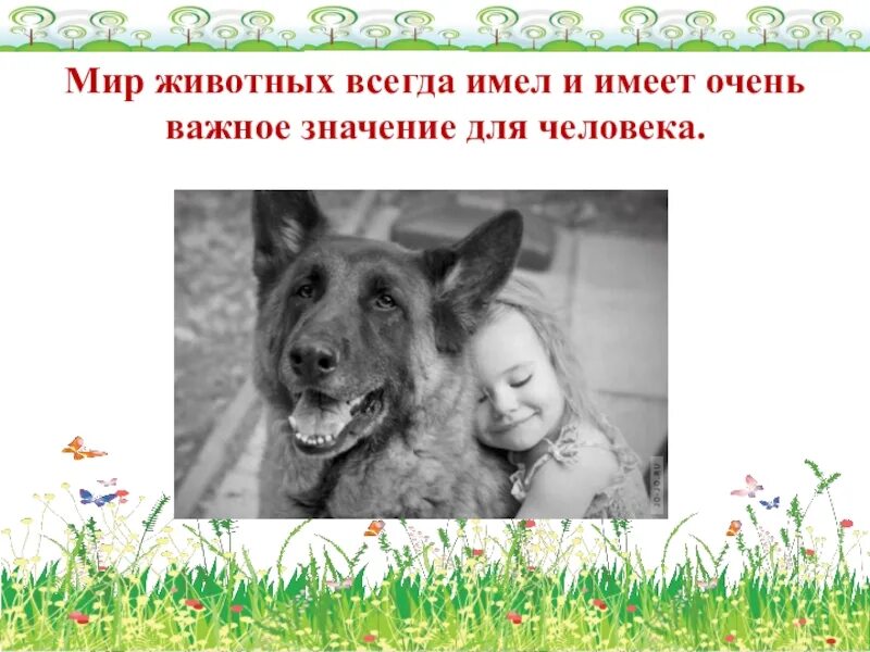Сообщение на тему человек и животное. Роль животных в жизни человека. роль домашних питомцев в жизни человека. важность животных в жизни человека. роль животных в природе.