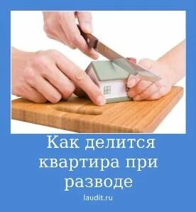 Как делится квартира в ипотеке после развода