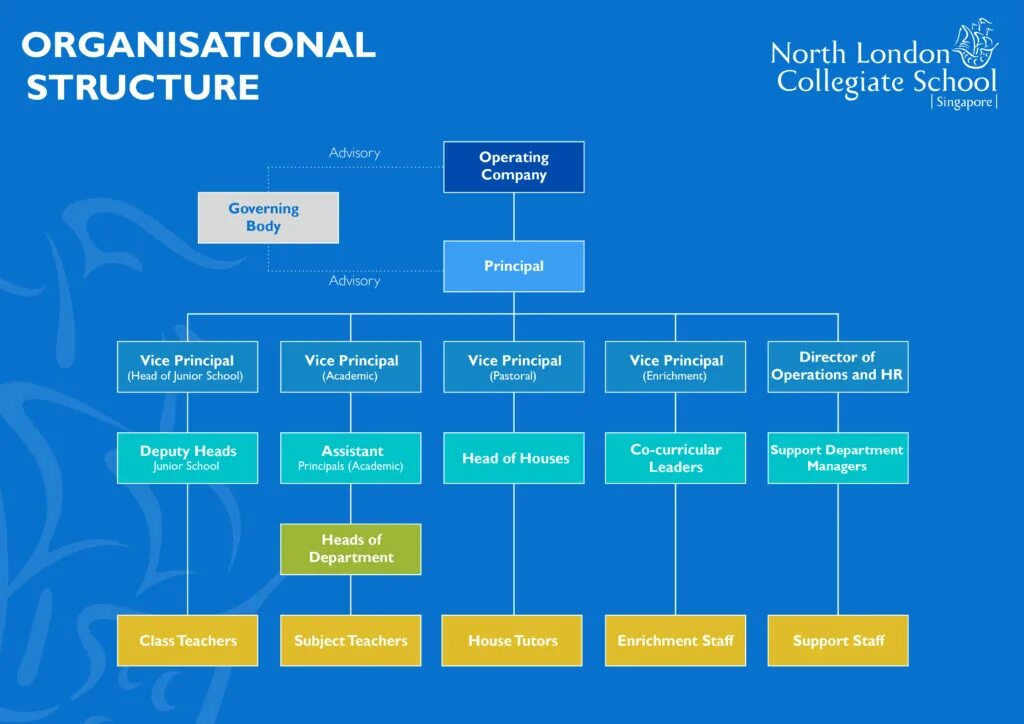 Language structure. Volkswagen organizational structure. организационная структура компании kfc. диаграмма organizational chart. organization structure of a company.