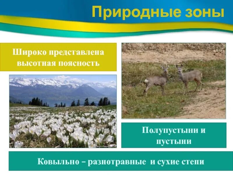 Особенности природы ресурсы европейского юга. Природные зоны европейского Юга. Поиродные зоны европейского Юг. Природные зоны европейского Юга 9 класс. Животные европейского Юга России.