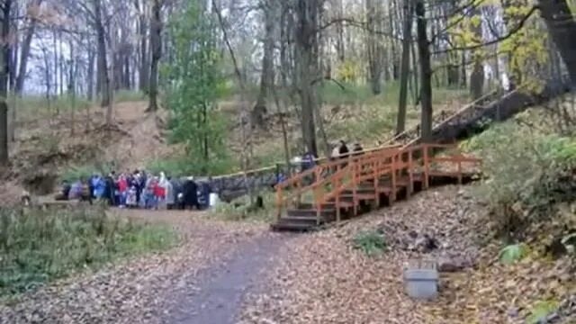 Родник царевна лебедь. Парк покровское стрешнево лебедь. Родник лебедь в парке покровское-стрешнево. Родник царевна лебедь. Родник царевна лебедь в лесопарке покровское-стрешнево.