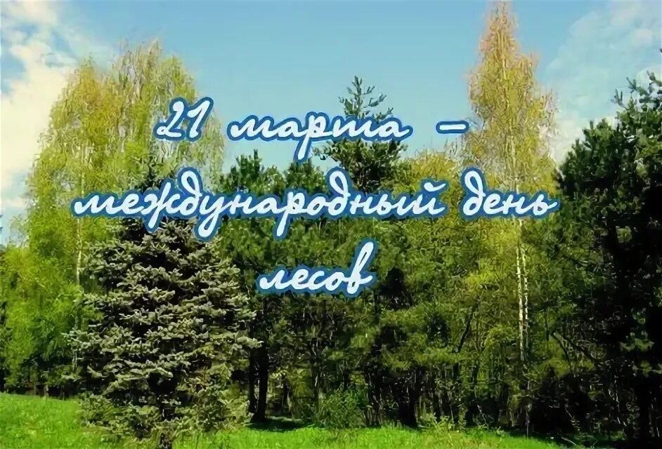 Открытка к международному дню леса. Международныйдкнь лесов. Всемирный день леса 2024. Всемирный день леса 2024. Международный день лесов.