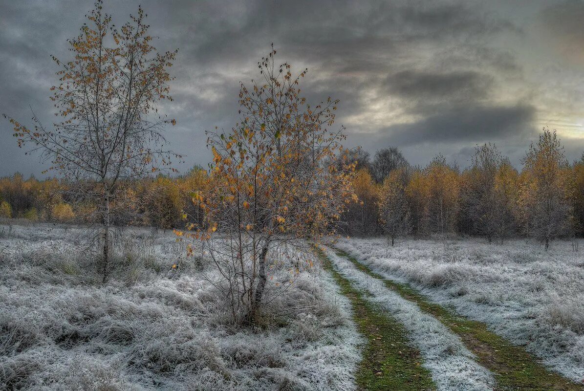 Поздней осени какое число. Поздняя осень. Первый снег. Конец осени. Ноябрь пейзаж.