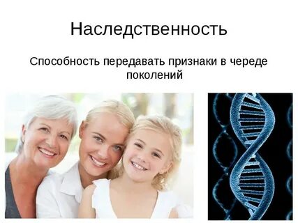 Показав роль ненаправленных случайных наследственных