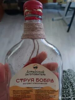 Рецепт приготовления бобровой струи