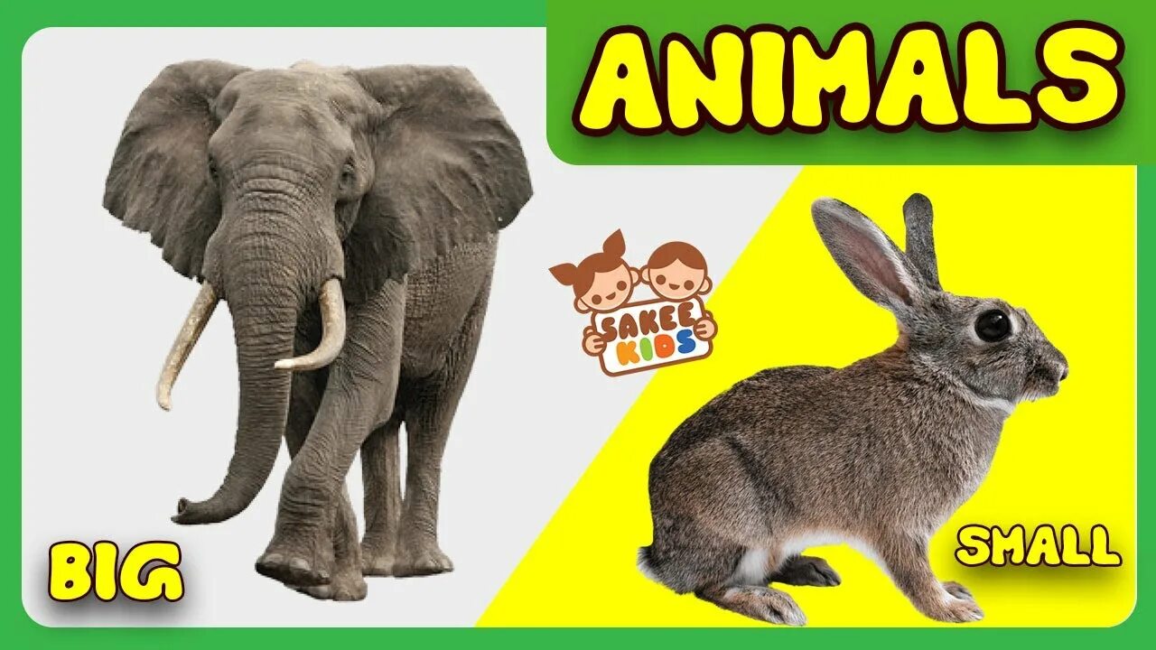 Big small animals