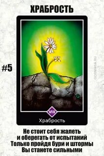 Ошо храбрость