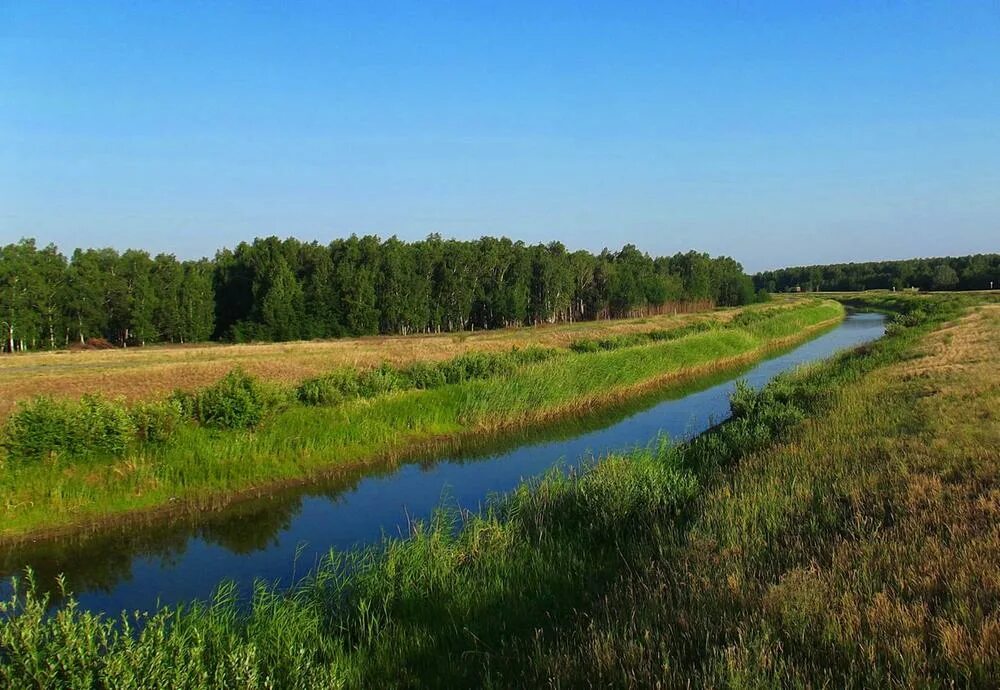 Кулунда природа. Село усть мосиха алтайский край. Кулундинский магистральный канал. Кулундинская равнина. Река кулунда алтайский край.