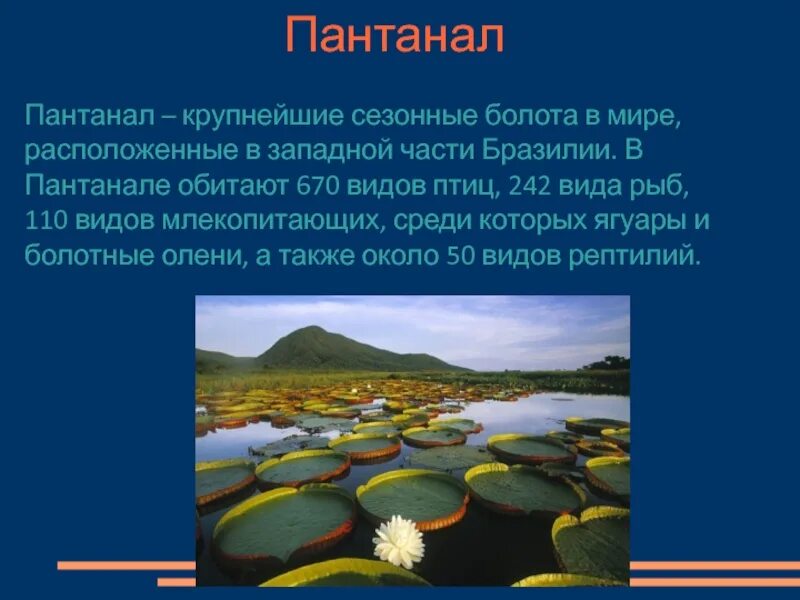 Доклад на тему бразилия. Достопримечательности Бразилии 7 класс география. Бразилия география 7 класс. Достопримечательности Бразилии проект. Бразилия презентация.