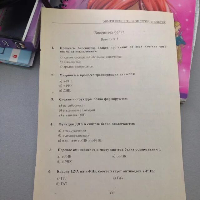 Химия белков тесты. Тест по биологии Биосинтез белка. Синтез белка 1 вариант. Тест по теме Биосинтез белка.