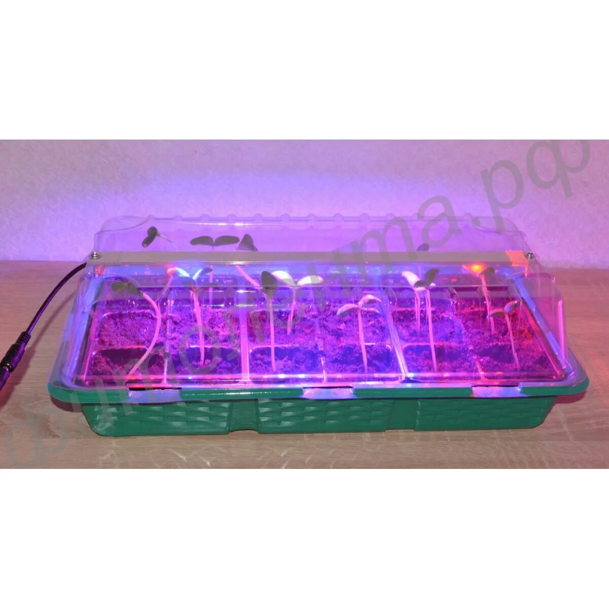 Led лампа для растений 6500к. полноспекторный фитосветильник 120вт 1 метра. лампы для досветки рассады. лучшая лампа для рассады. фитолампа master grow 300w.