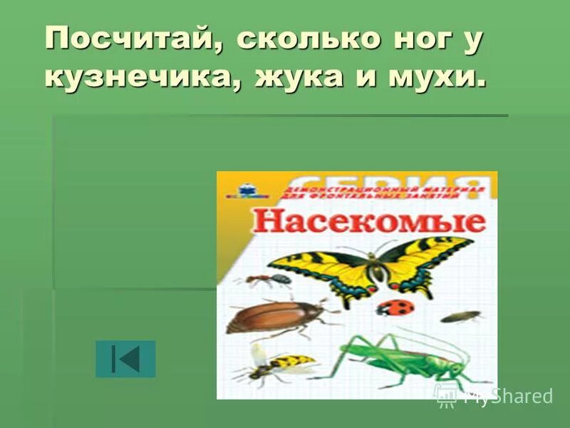 Сколько ног у насекомых 1 класс окружающий. Насекомые 1 класс окружающий мир. конечности кузнечика. сколько ножек у кузнечика. сколько конечностей у кузнечика.