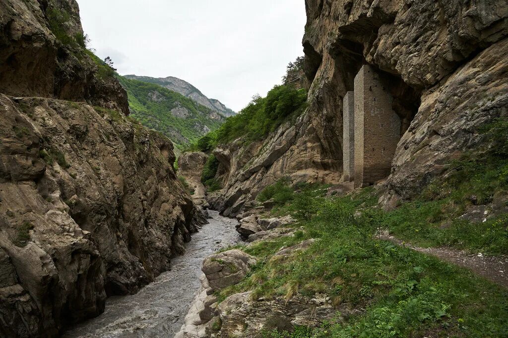 ушкалойские башни чечня. шатой грозный аргунское ущелье. ущелье в итум кали. уйти в ущелье. чечня горы аргунское ущелье.