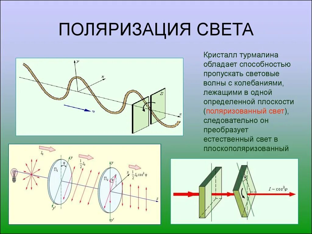 Поляризация волн физика 11 класс. Поляризация продольных волн. Поляризация света физика 9 класс. Поляризация электромагнитные волны физика. Поляризация тел