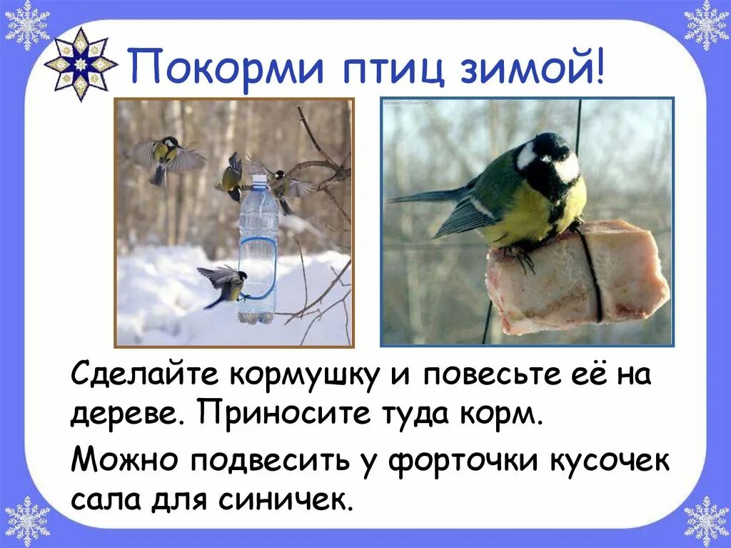 Человек зимой окружающий мир 2 класс. Покормите птиц зимой. презентация на тему зимние птицы. помощь птицам в зимнее время. как помочь животным зимой 2 класс.