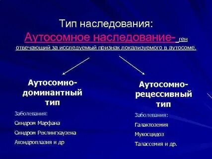 Ген локализован в аутосоме