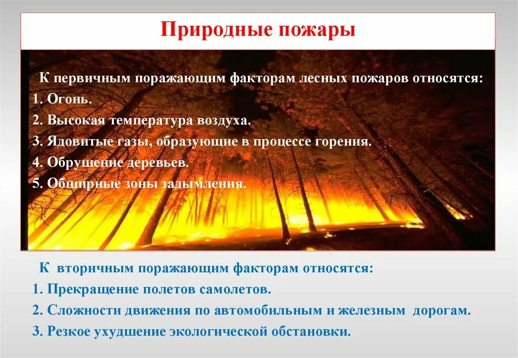 Природный пожар определение. Основные поражающие факторы природных пожаров. Поражающий фактор природного пожара. Первичные и вторичные поражающие факторы природных пожаров. Поражающий фактор лесного пожара.