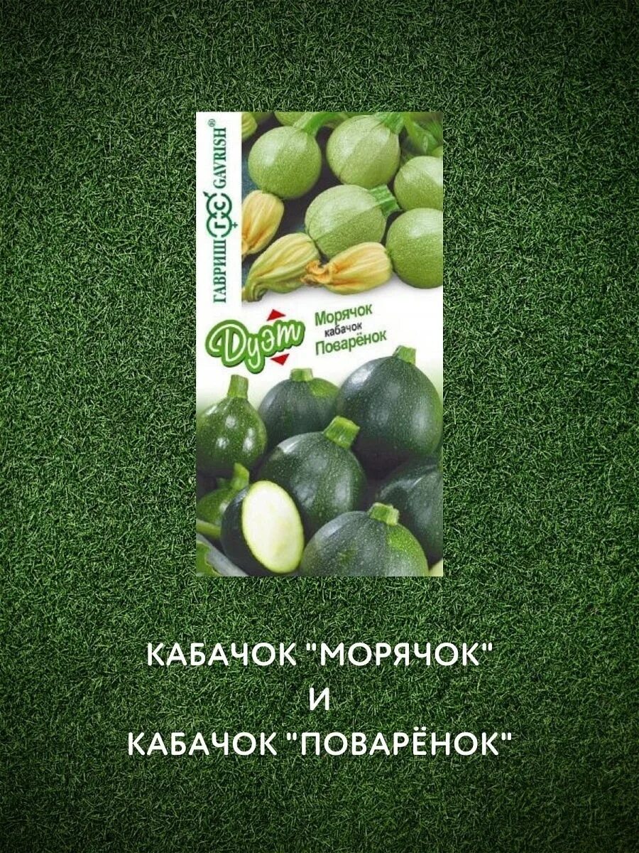 Кабачок морячок фото Кабачок Морячок купить в Москве, доставка почтой по России, недорого в интернет-