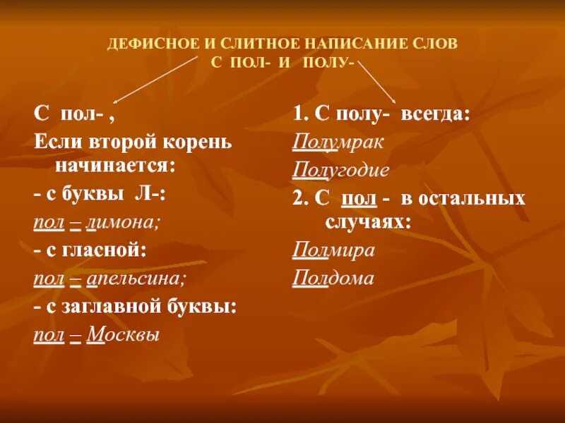 Правила написания слов с пол и полу. Слитное и дефисное написание слов. дефисное и слитное написание пол и полу. дефисное написание слов с пол. слитное написание слов с пол-.