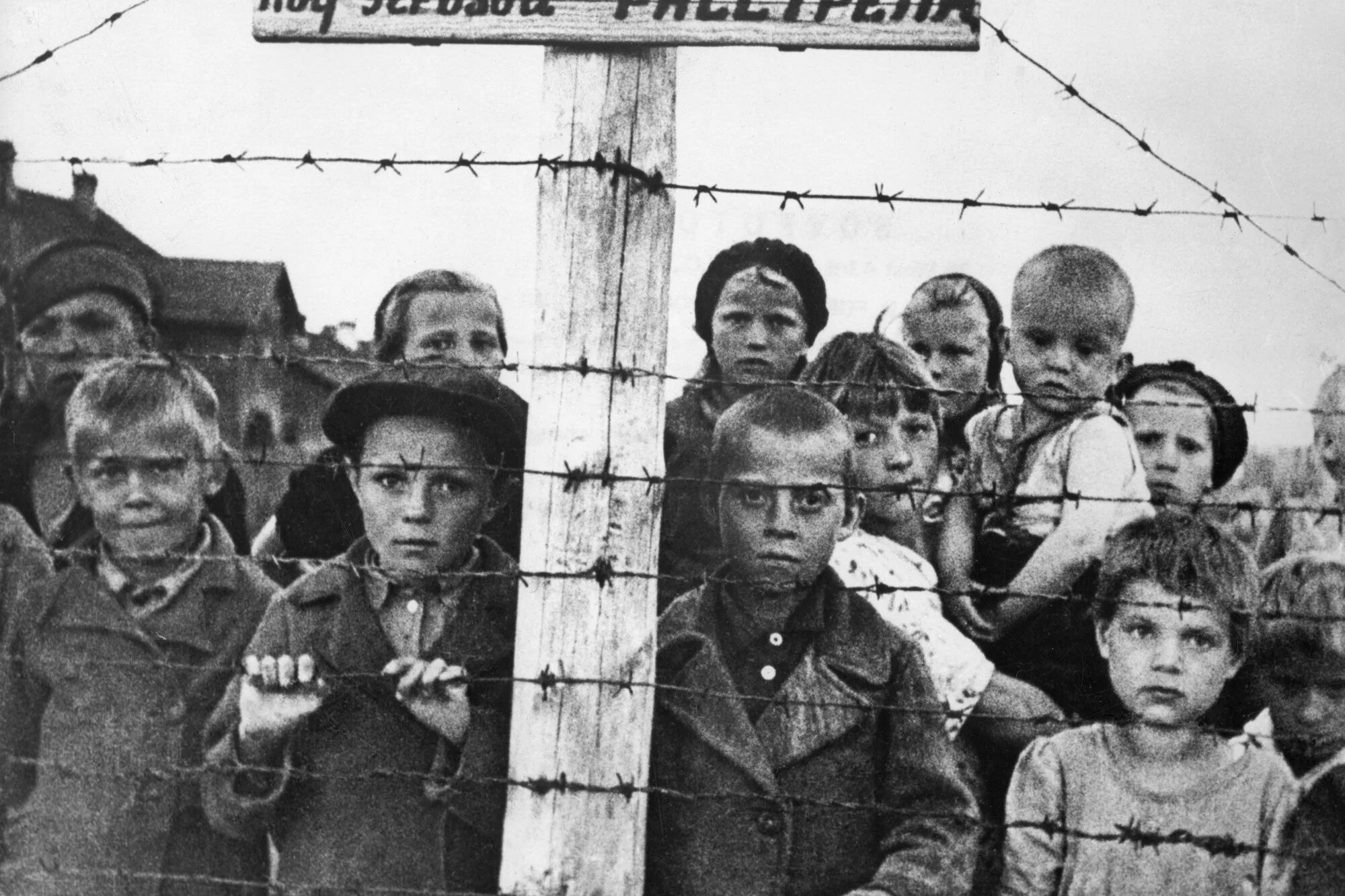 Дети узники концлагерей 1941. Дети 1944 года