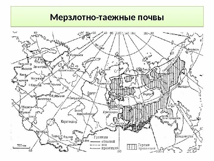 Типы почв мерзлотно таежные. Область распространения почв мерзлотно таежные. мерзлото таежны почвы на карте росси. мерзлотно-таежные почвы схема. гумусовый горизонт в мерзлотно таежных почвах.
