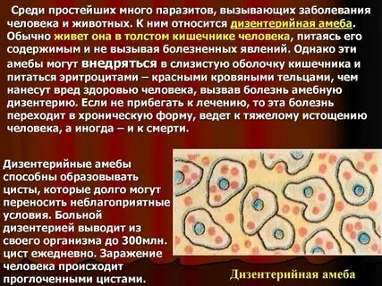 Инфекция вызванная простейшими