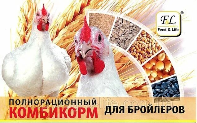 Комбикорм Фидлайф для бройлеров. Комбикорм для кур реклама. Комбикорм баннер. Баннер комбикорма для птицы.