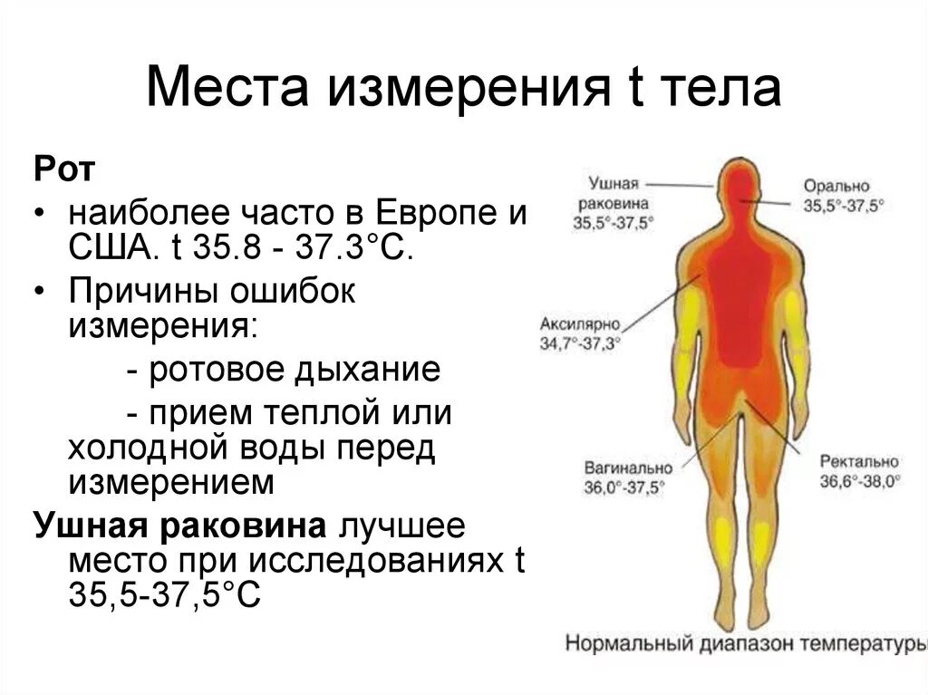 Почему тело холодное. Температура тела. Температура человека. Места измерения. Как повышается температура тела.